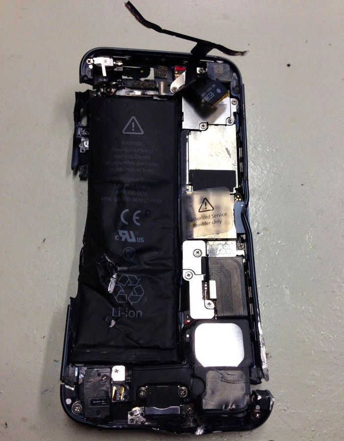 eiei.jpg