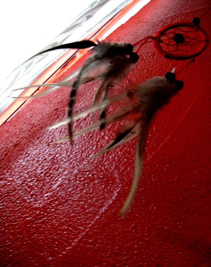 an dauernd.JPG