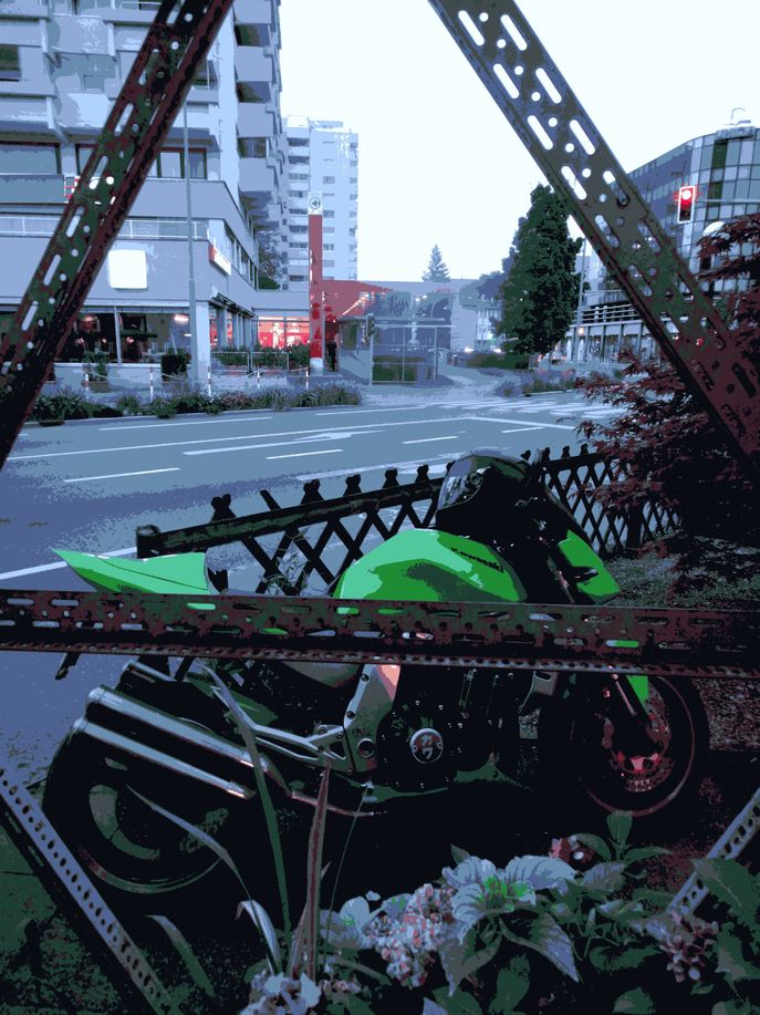 bis_s morgen.JPG