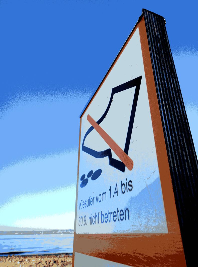 post vom feldhas.JPG
