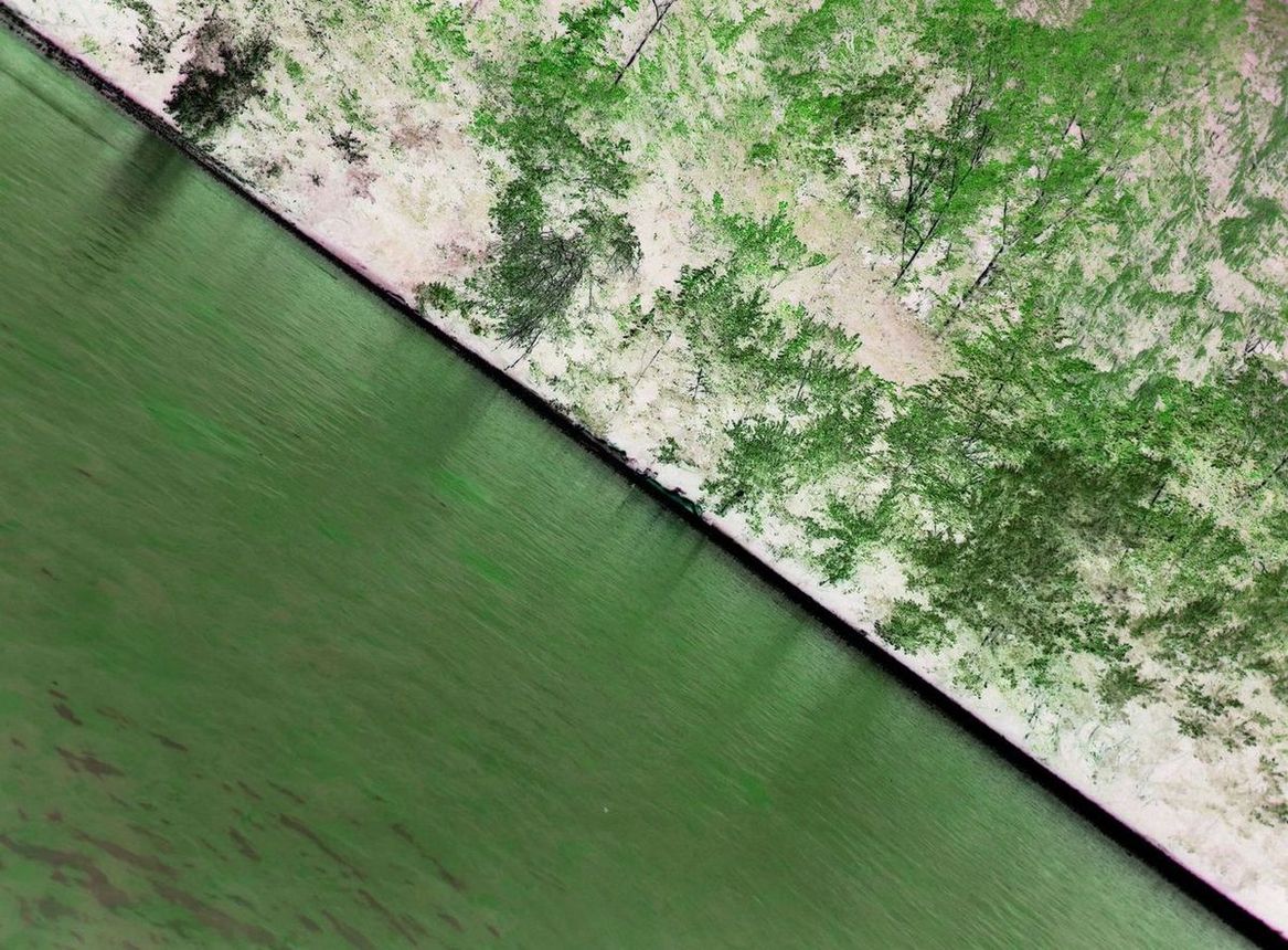 natur belassen.JPG