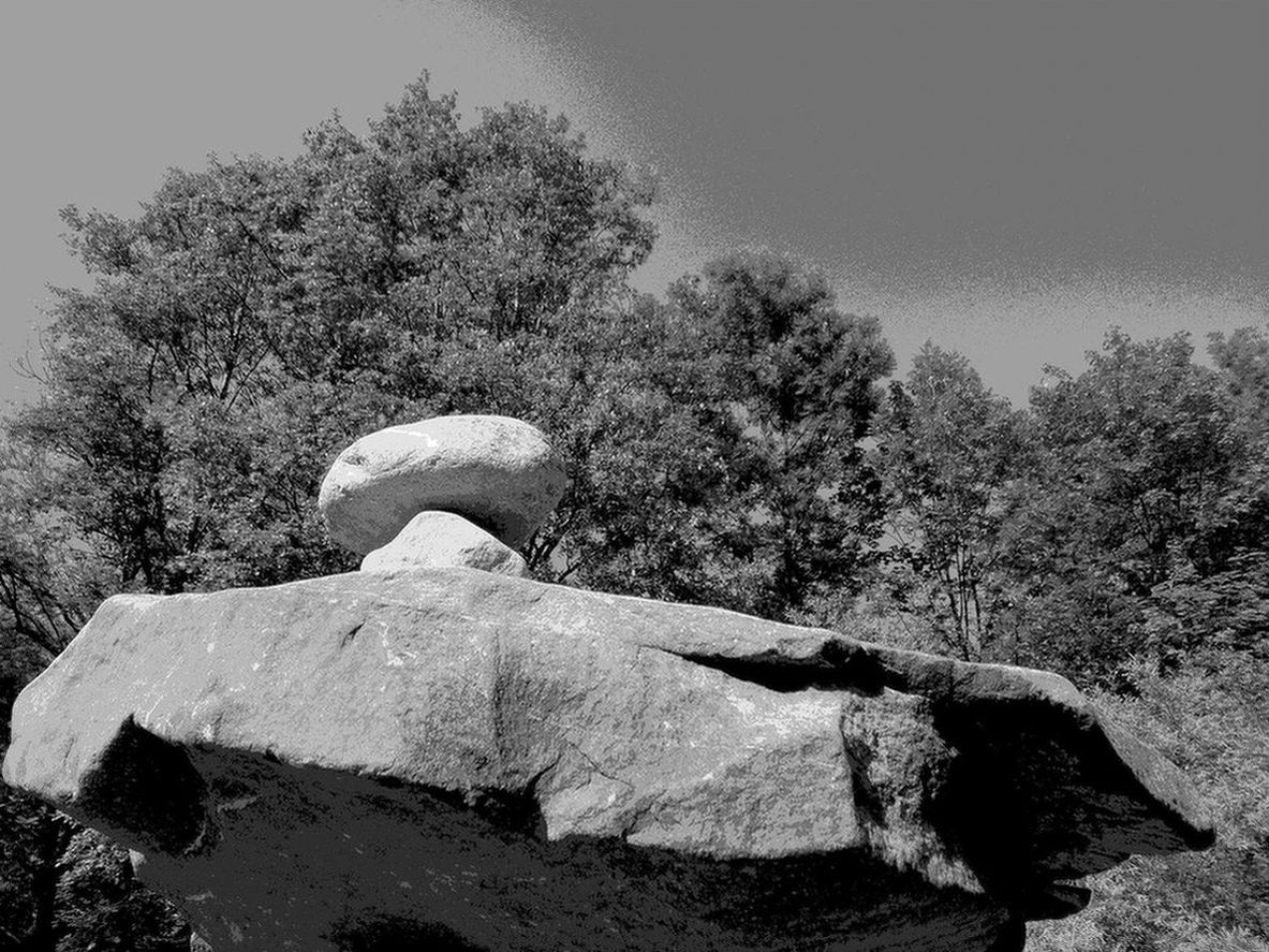 haut beinah hin.JPG