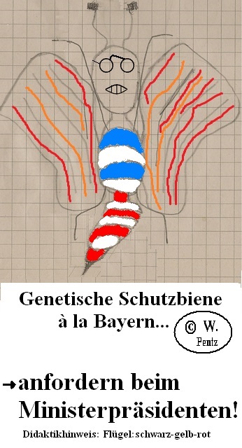 klein_K-BayerischeBiene1c.jpg