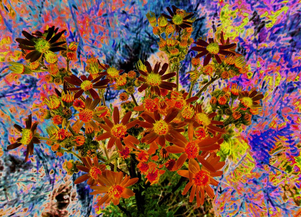 bin im garten4 (orig 2,27MB).JPG