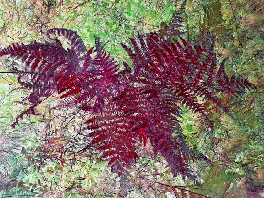 bin im garten7 (orig 3,66MB).JPG