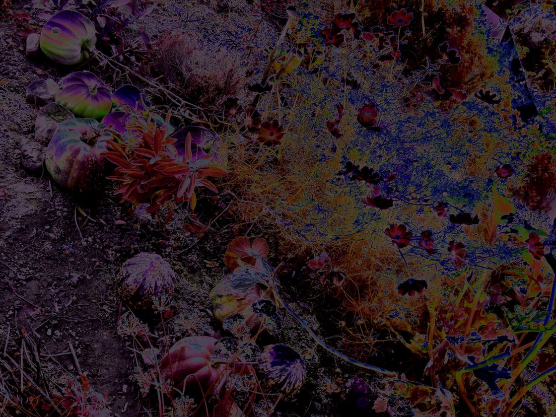 bin im garten17 (orig 2.87MiB).JPG