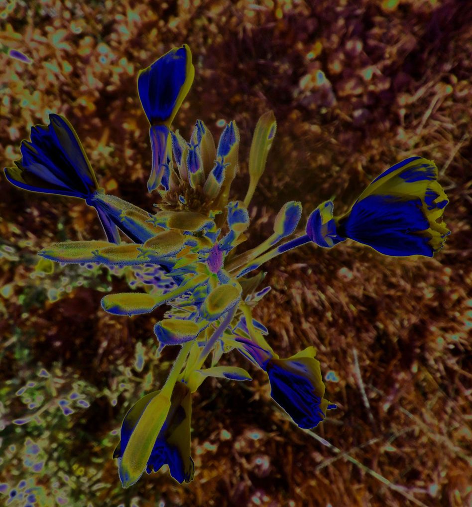 bin im garten18 (orig 1.05MB).JPG