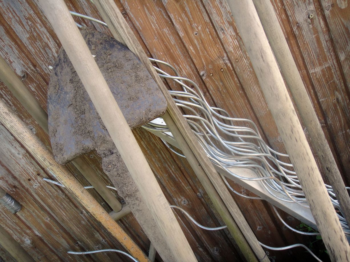 bin im garten19 (orig 2.39MB).JPG