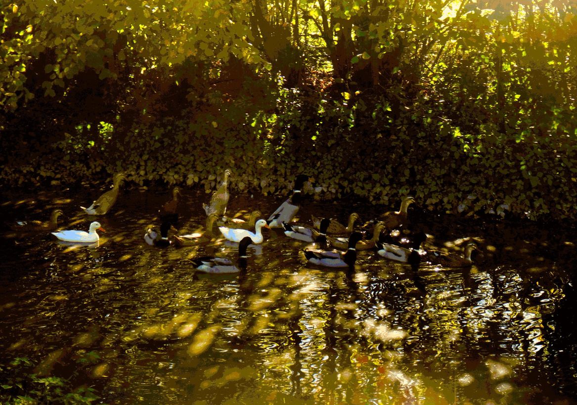 bin im garten21 (orig 1.65MB).JPG