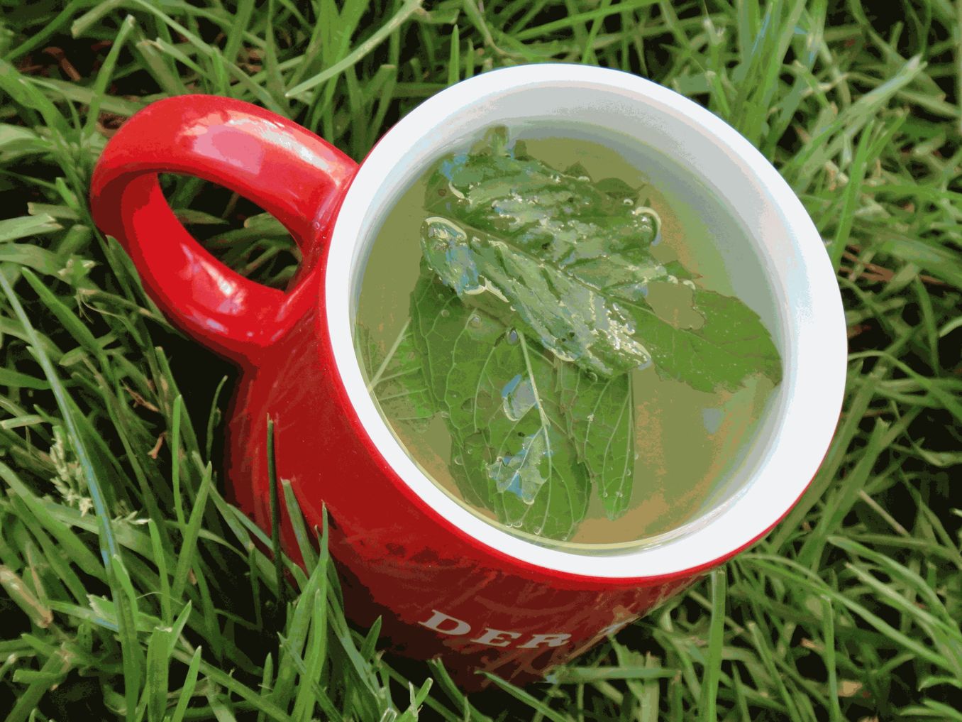 bin im garten22 (orig 1.62MB).JPG