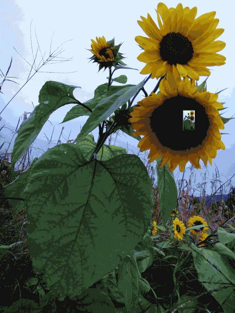 bin im garten23 (orig 1.60MiB).JPG