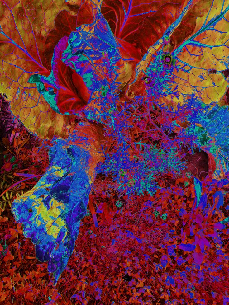 bin im garten25 (orig 3.18MiB).JPG