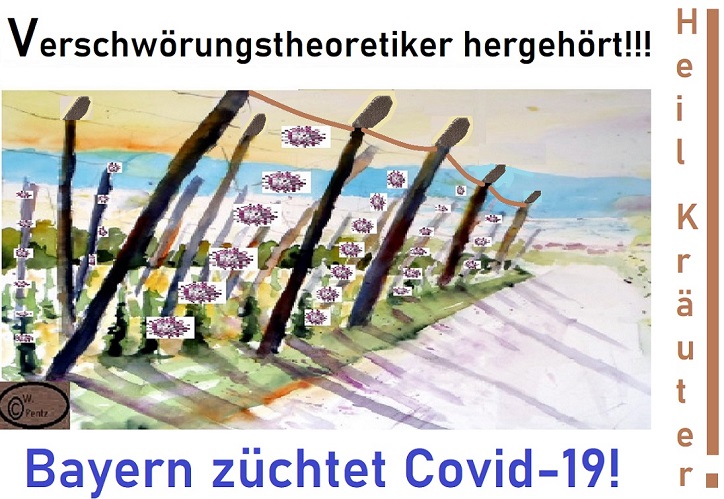 klein_Z-BayernzuechtetCorona.jpg