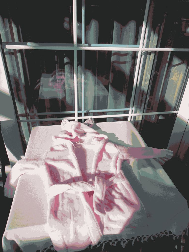 bedarf näherer aufklärung.JPG