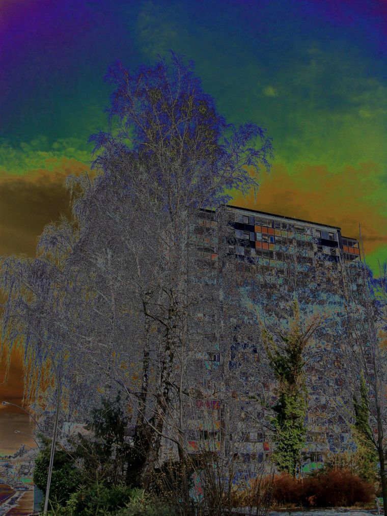 heimArt88.JPG