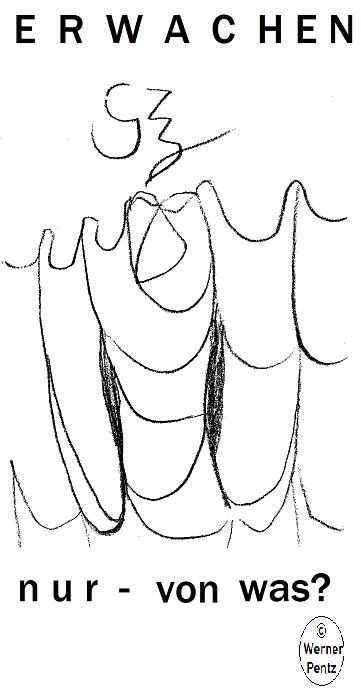 klein_Z-Erwachen.jpg