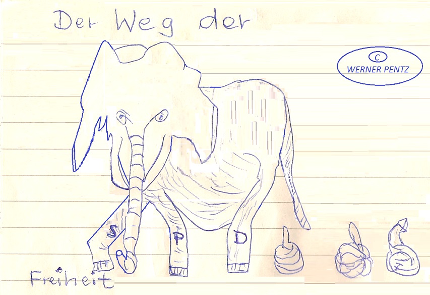 klein_Z-ElefantSPD.jpg