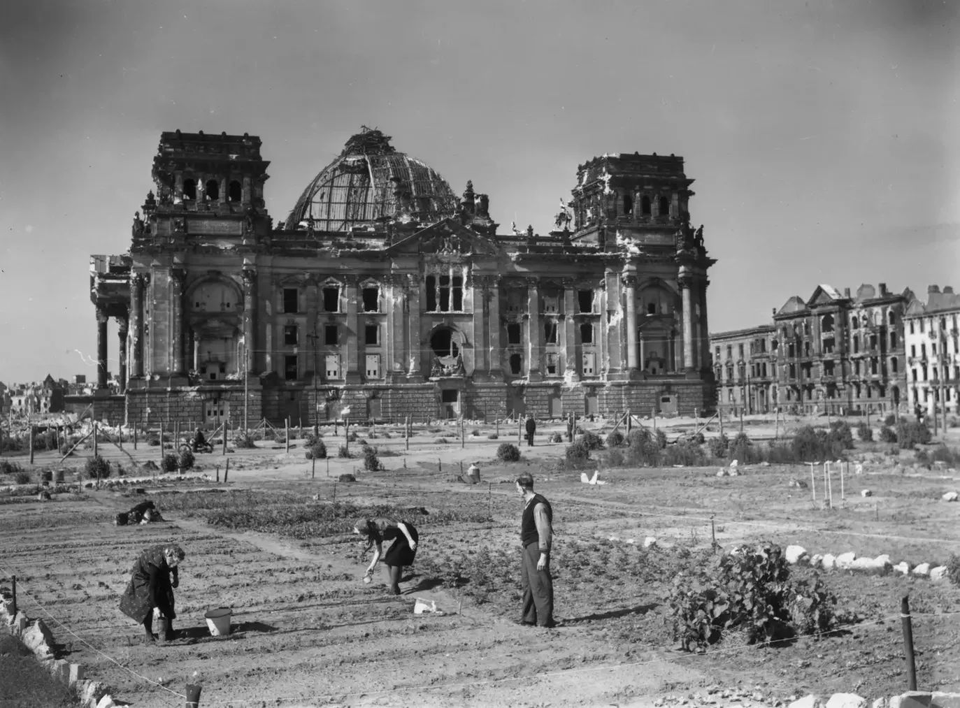 frisch umgetopft(II).jpg