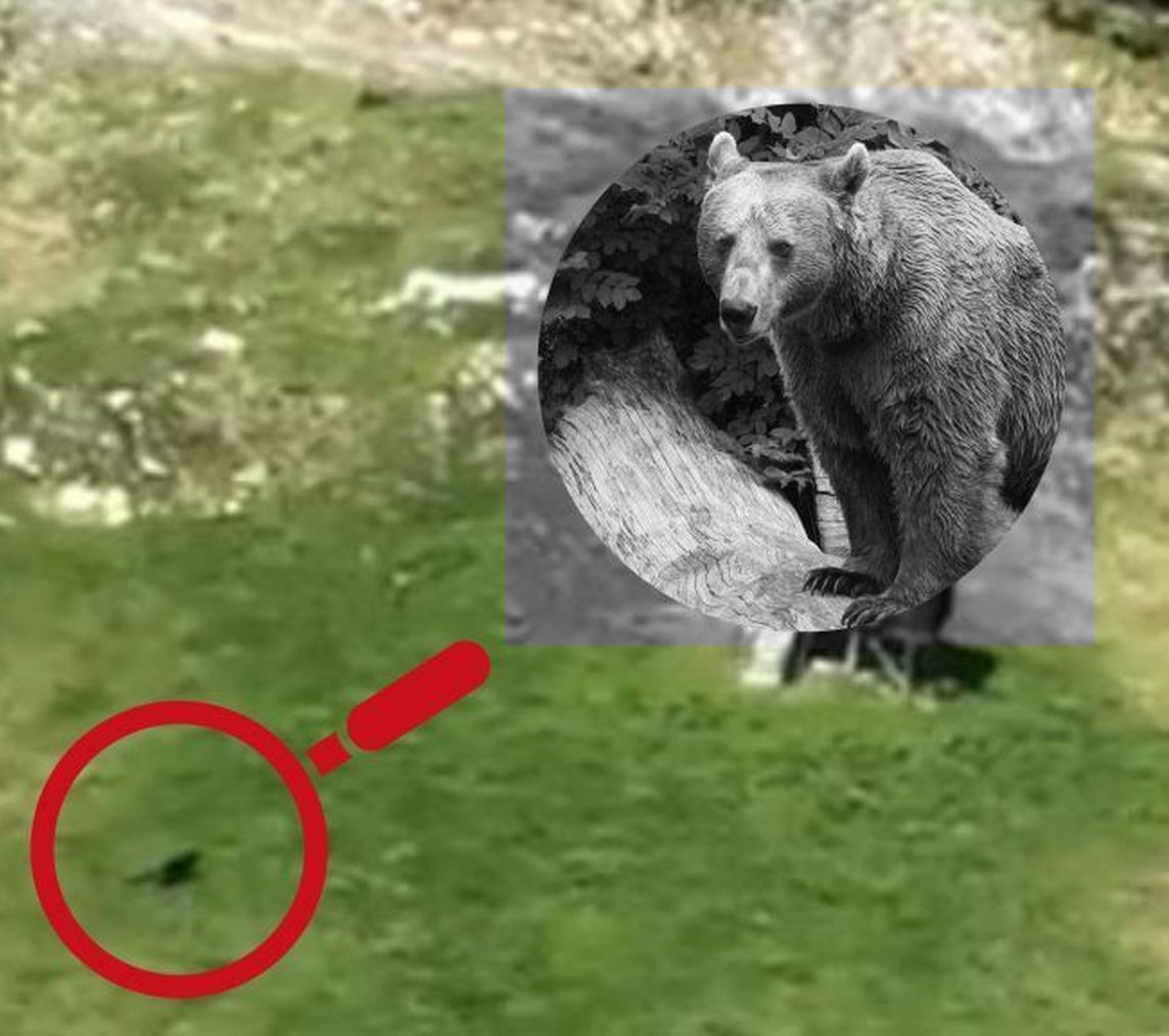 teddyOh.jpeg