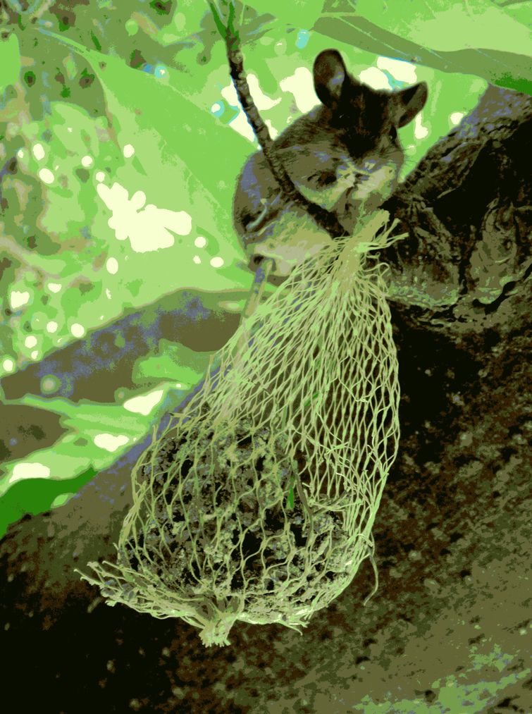 vermutung x 10.JPG