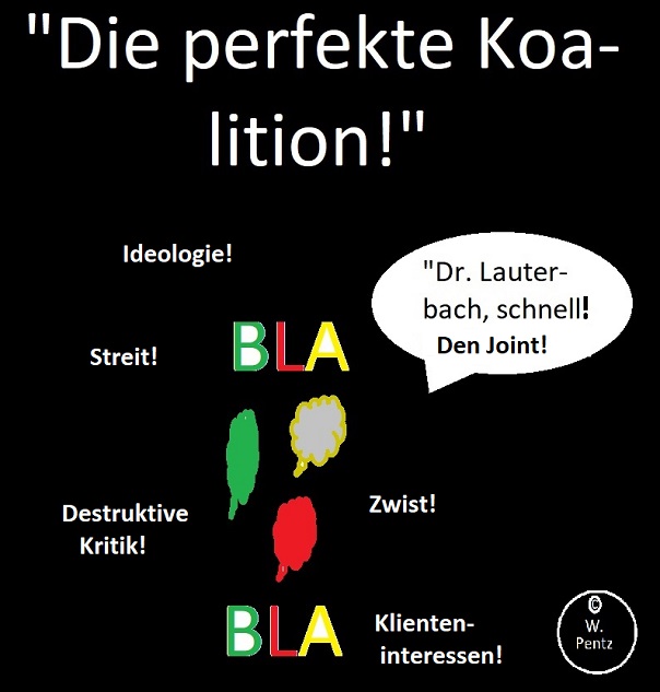 klein_Z-DieperfekteKoalition.jpg