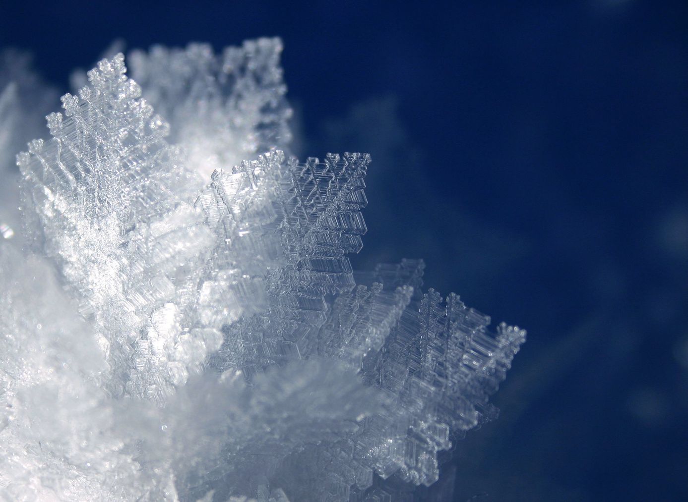 Winter wird s.jpg