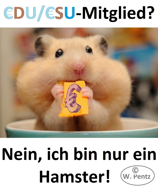 klein_K-CDUCSUHamster.jpg