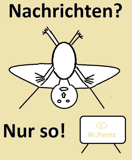 klein_Z-NachrichtenNurSo!.jpg