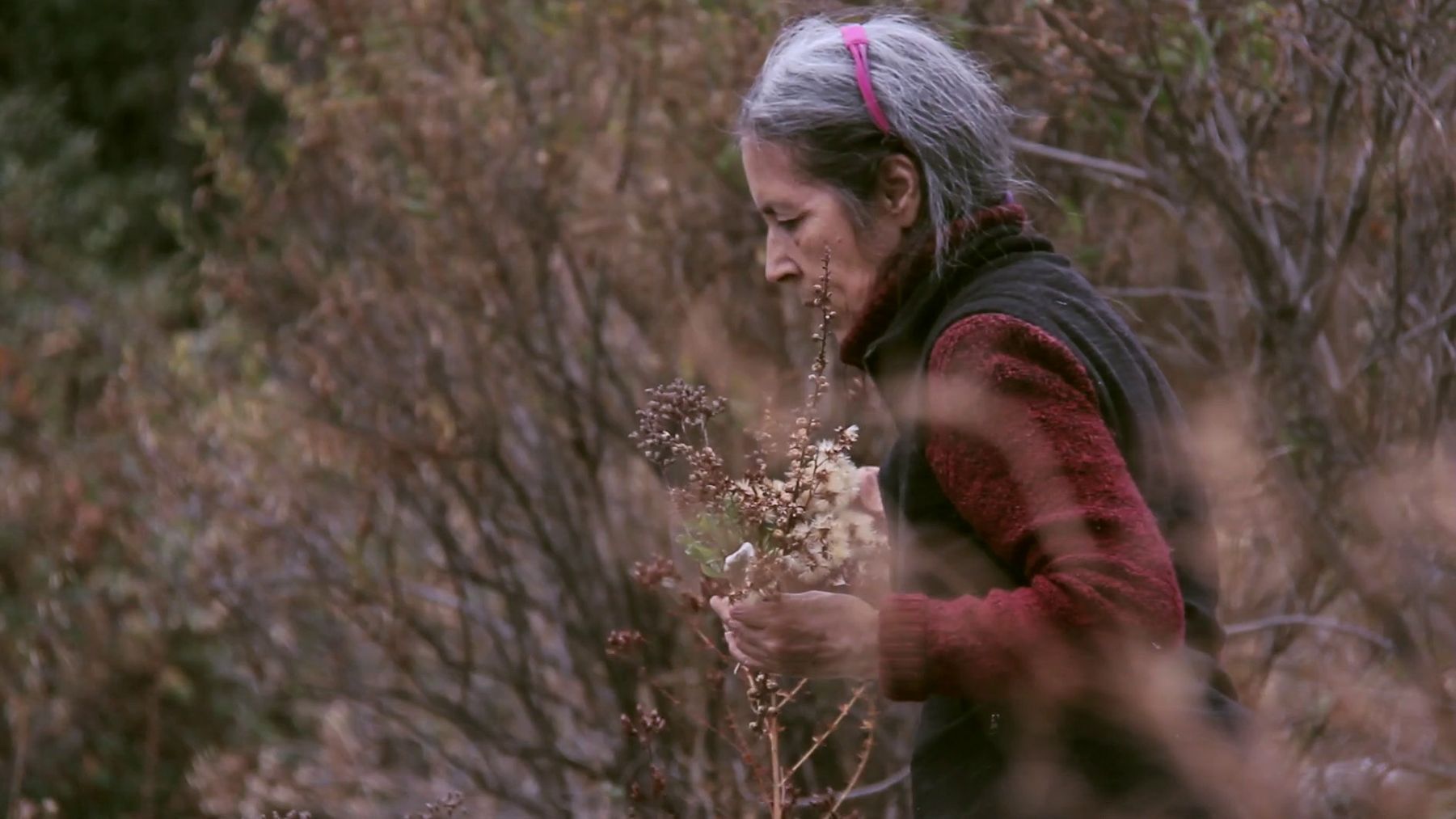 Cecilia Vicuña.jpg