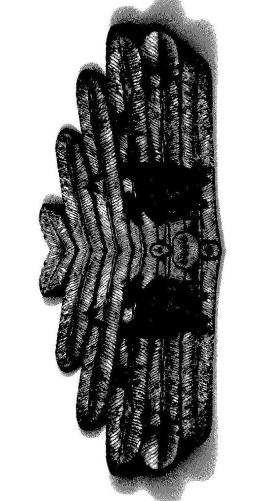 wie wär s mit jetzt.jpg