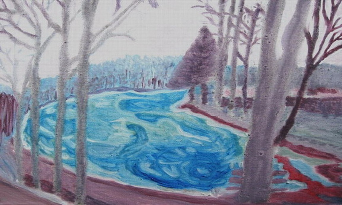 B-LandschaftSchleifweiher.jpg