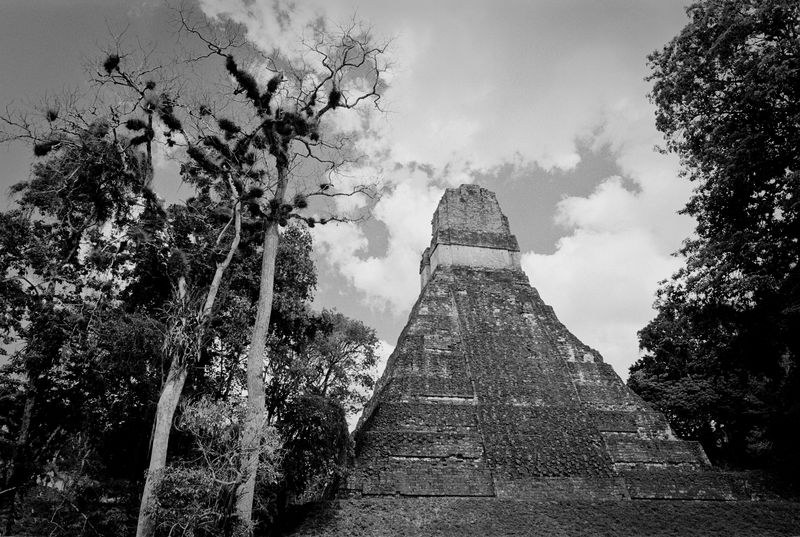 Tikal.jpg