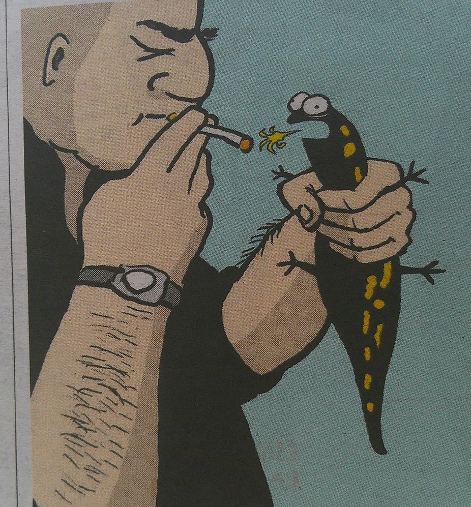 Kampf Kunst Tugend.JPG