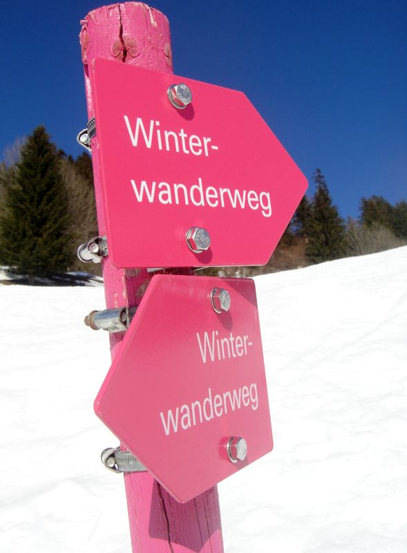 winterwanderweg.JPG
