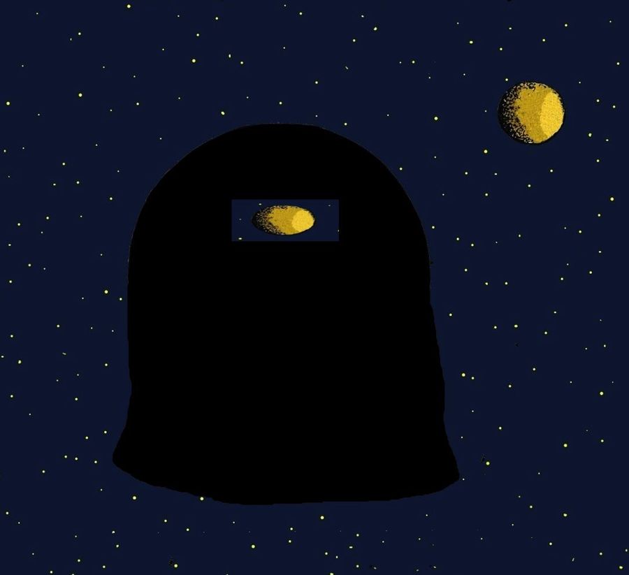 gehirnBurka2.jpg