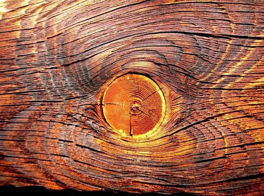 holzaug.JPG